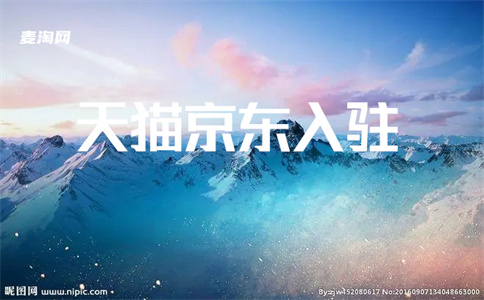 天貓入駐旗艦店